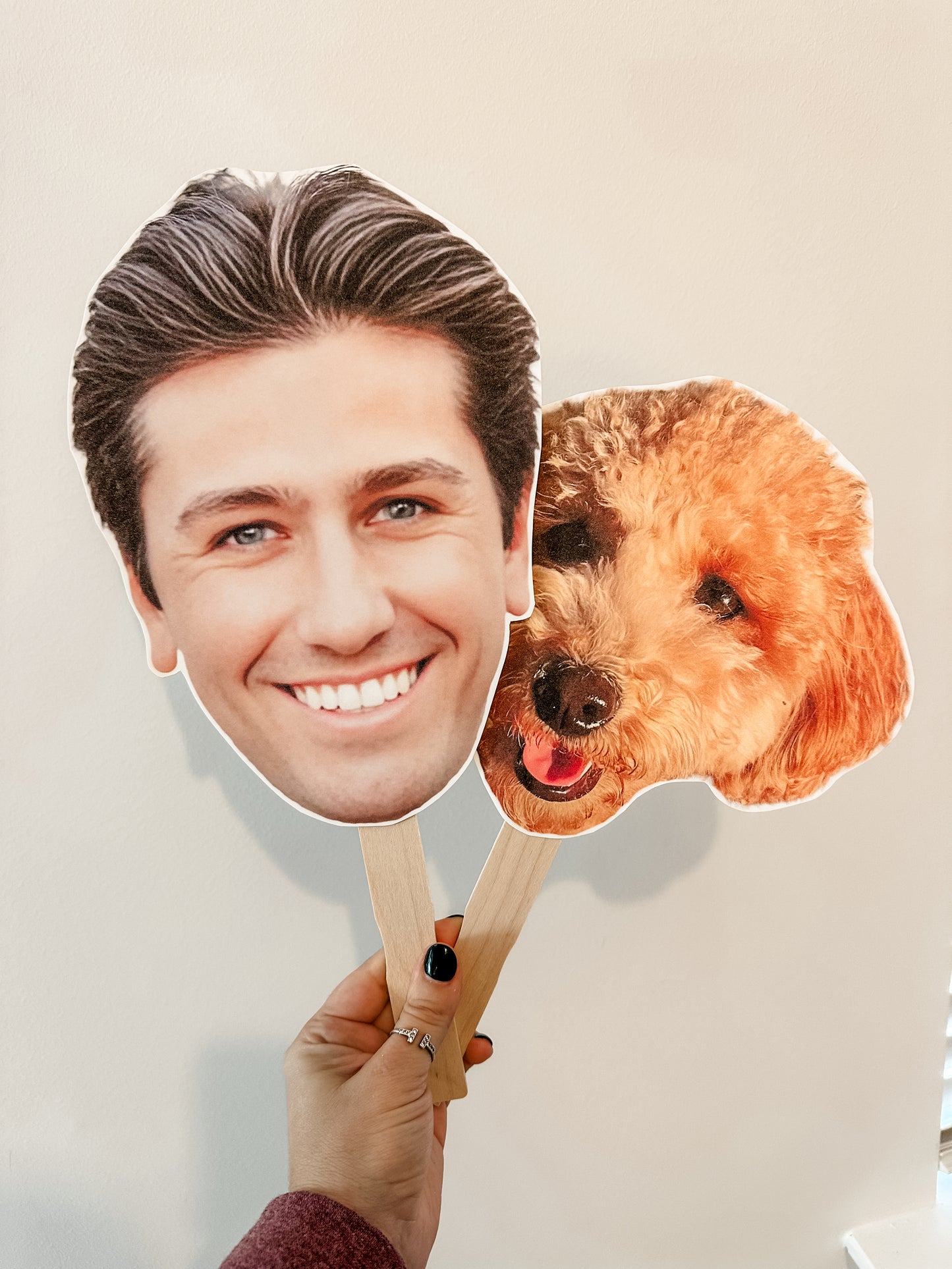 Face on a Stick
