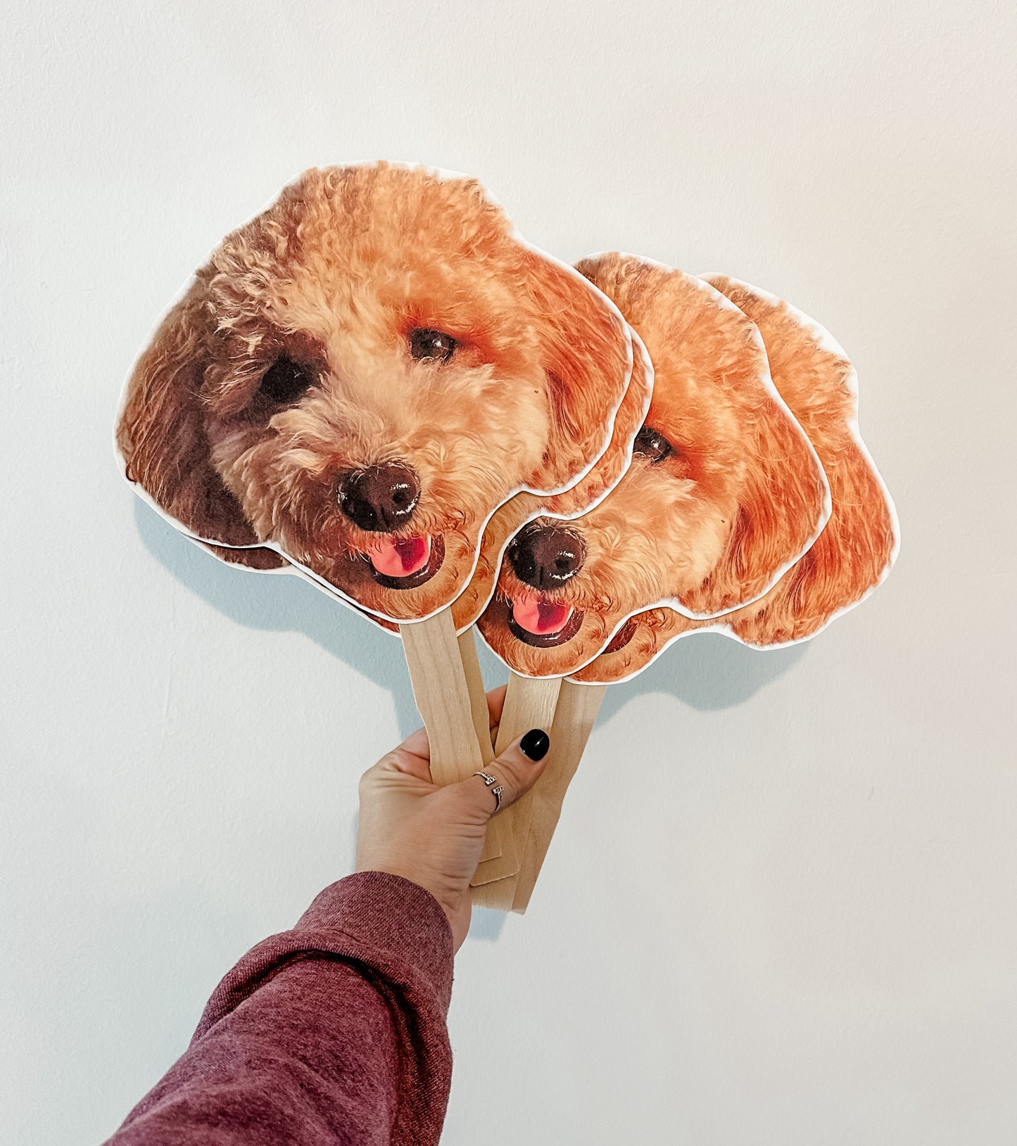 Face on a Stick