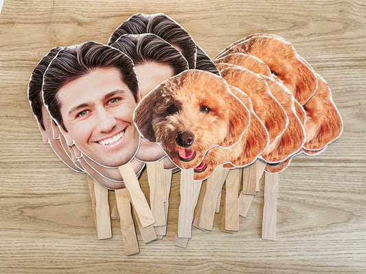 Face on a Stick