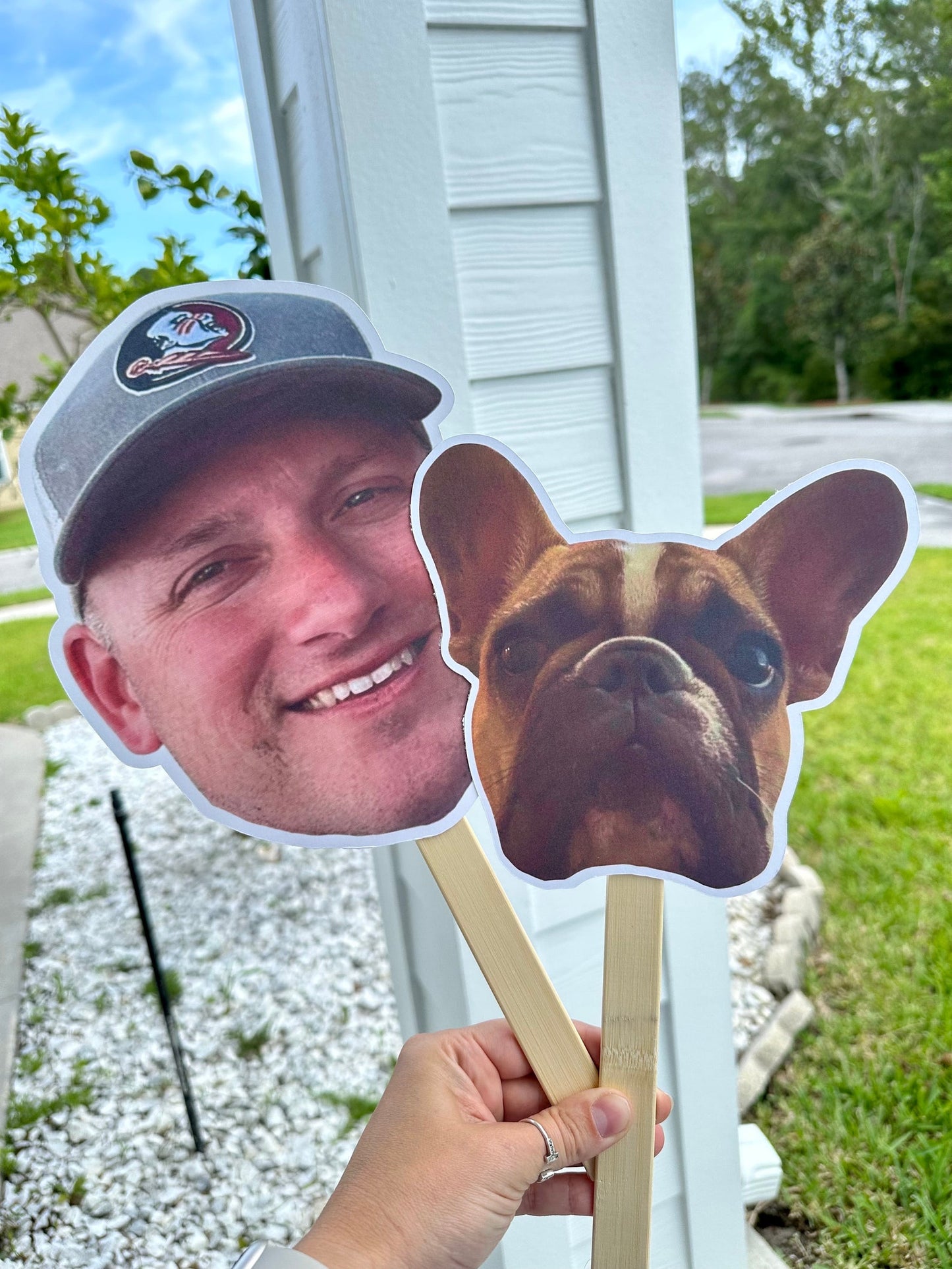 Face on a Stick