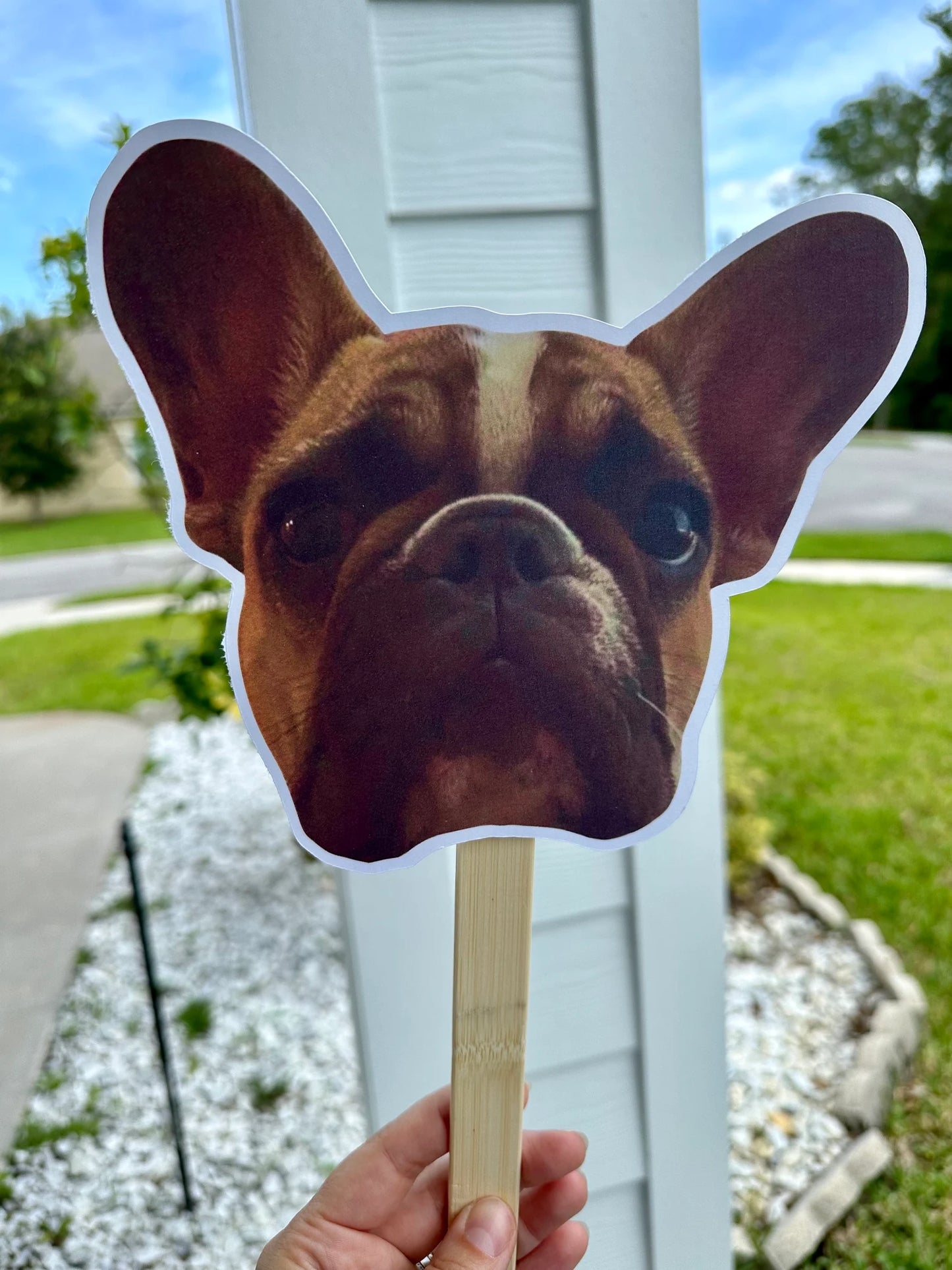 Face on a Stick